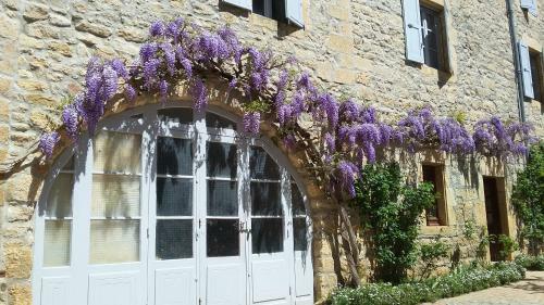 Hotel Espace Rencontre Ang�le M�rici