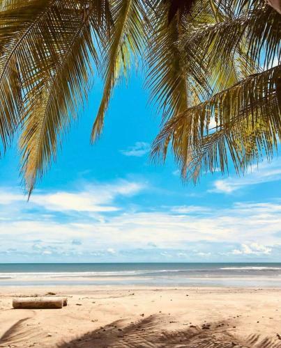 Beach Eco Stays Lagoinha Hotel Boutique