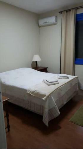 Apartamento Central Com Garagem E Elevador