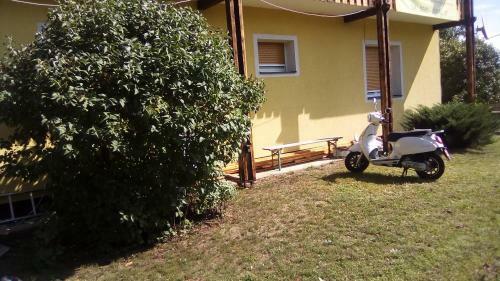 Apartamento Lemon House
