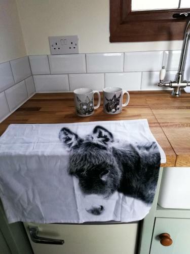 Hostal Durham Donkey Rescue Shepherds Hut