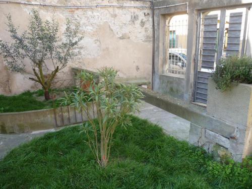 Le Patio Cathare