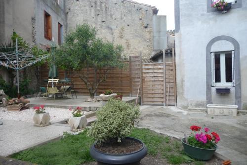 Le Patio Cathare