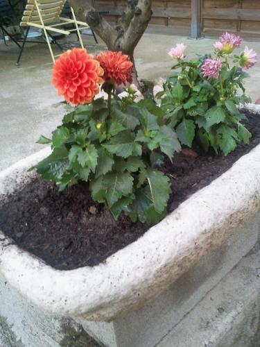 Le Patio Cathare