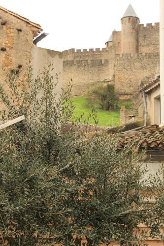Le Patio Cathare