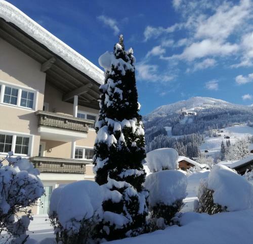 Apartamento Appartement Paratscher