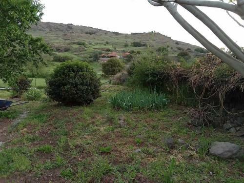 ?halassa Home Fine Living