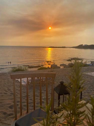 Apartamento Myrtia Guest House