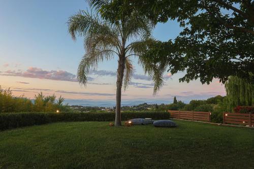 Wild Willow Villa