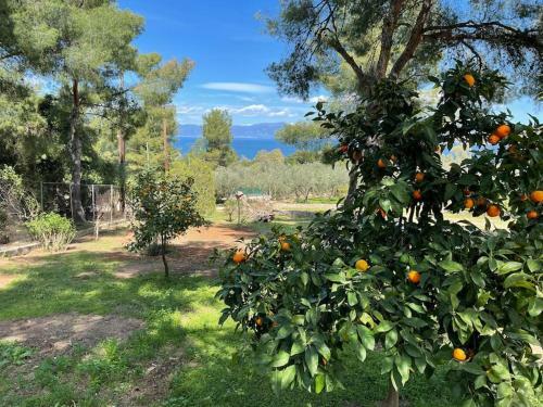 Stunning Evia Sea View Country House