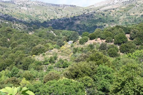 Maria's Mountain Home