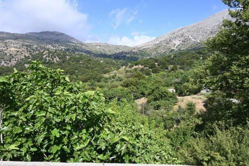 Maria's Mountain Home