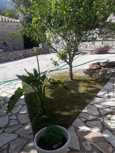 Sivros Village House
