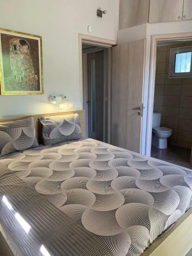Villaellea