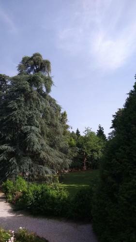 Casa Sul Parco Di Villa Rubini