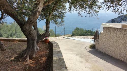 Villa Rosa Con Esclusiva Vista Sul Mare