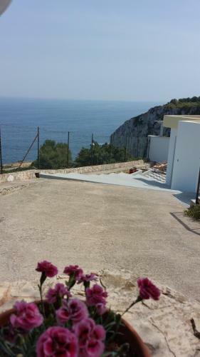 Villa Rosa Con Esclusiva Vista Sul Mare