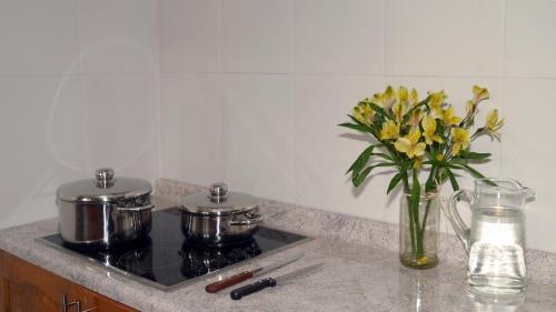 Coyhaique Suite Apart Hotel