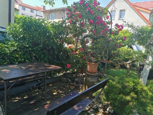 Hostal Kwatera U Zisi