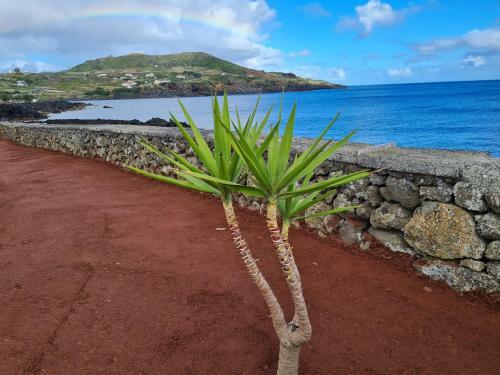 Azores 5 Estrelas