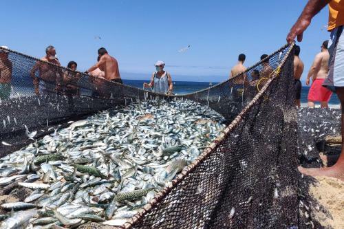 Cila's Guest House 1
