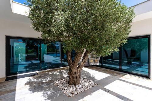 Blue Hill Boutique Villa