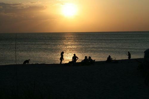 Apartamento Snowy Egret Tropical 1 - Pet Friendly