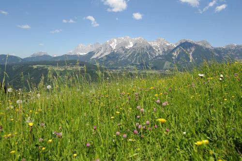 Chalet Alm Planai