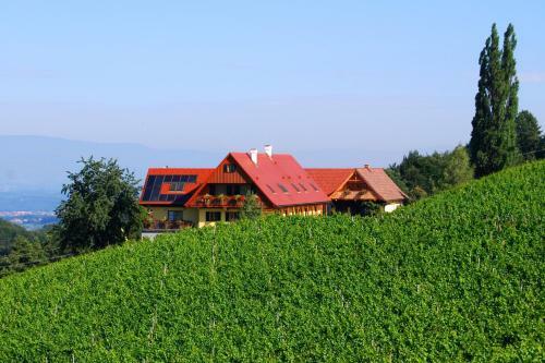 Hotel Weingut Winzerzimmer Rothsch�dl