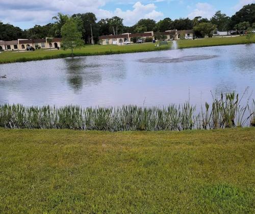 New! Perfect Vacation Home With Pool Near Beaches
