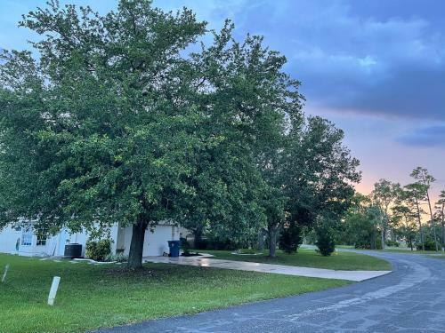 Hostal Weeki Wachee Guest Suite