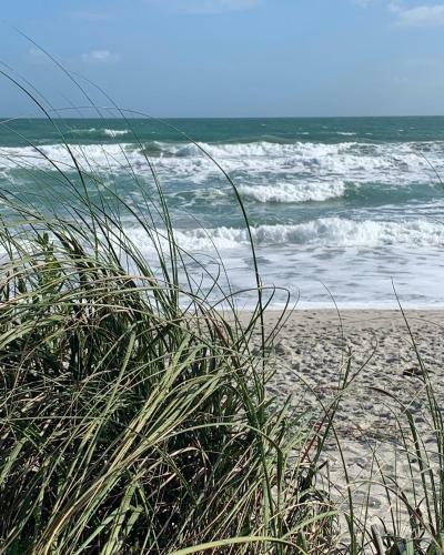 Retreat By The Sea