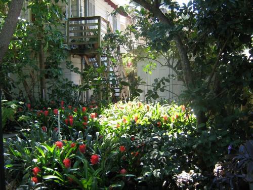 Apartamento The Treehouse