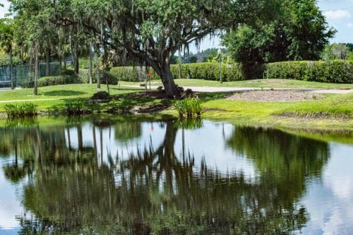 Saddlebrook Resort Studio Suite - Peaceful Pond Paradise - Pet Friendly - Convenience And Comfort