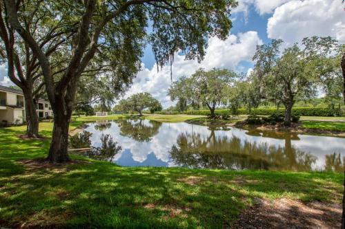 Saddlebrook Resort Studio Suite - Peaceful Pond Paradise - Pet Friendly - Convenience And Comfort