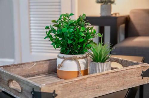 Apartamento Westshore South Tampa Apt