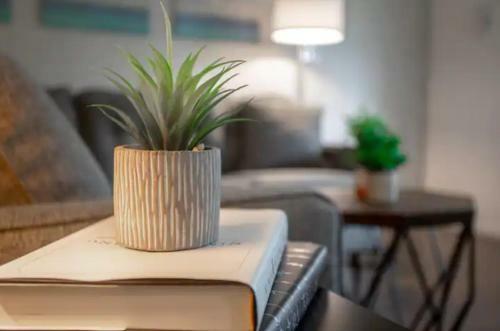 Apartamento Westshore South Tampa Apt