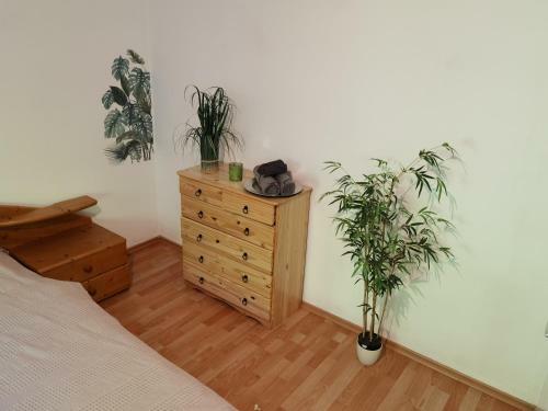 Apartamento Fewo Bayerischer Wald Freyung-grafenau