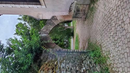 La Camisse
