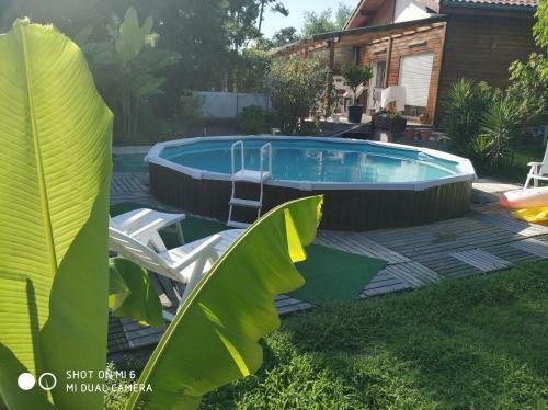 Apartamento Les Bananiers