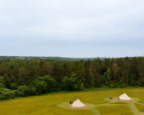 Forest Edge Glamping