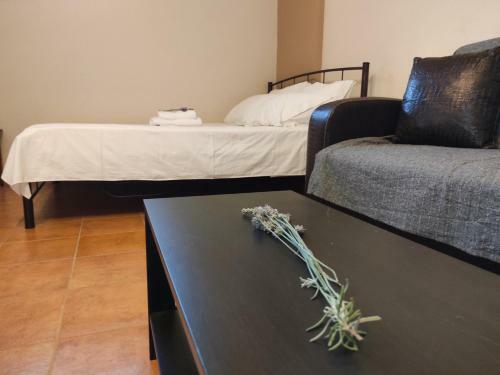 Stomio 4 Seasons Relaxing Apartment