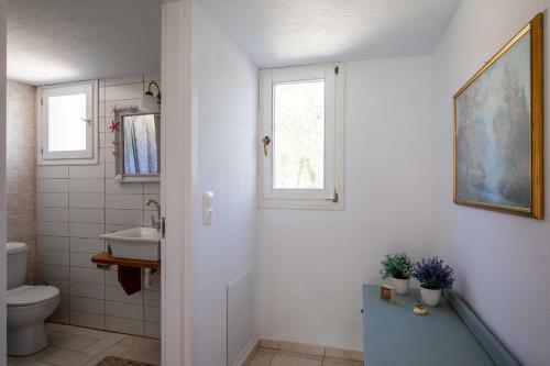 Skopelos Amigdalia Cottage