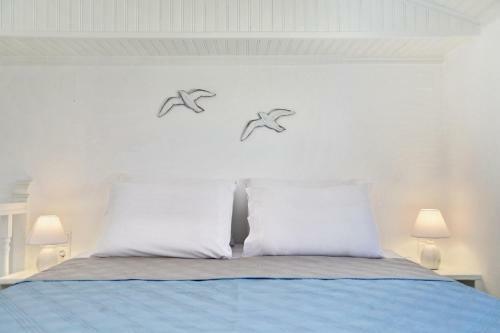 Skopelos Aerino House