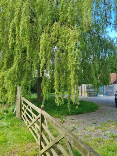 The Little Cottage - Peaceful, Dog Friendly In 3 Acres