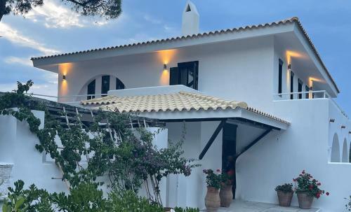Azero Villa Skiathos