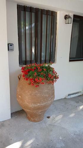 Traditional House With Fireplace And Garden