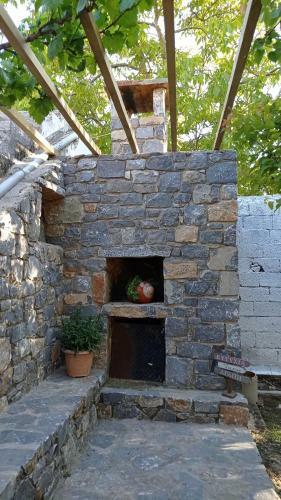 Traditional House With Fireplace And Garden