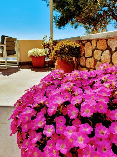 Apartamento Villa Christina