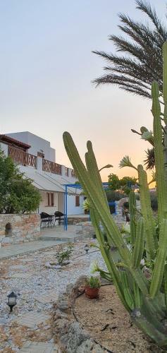Apartamento Villa Christina
